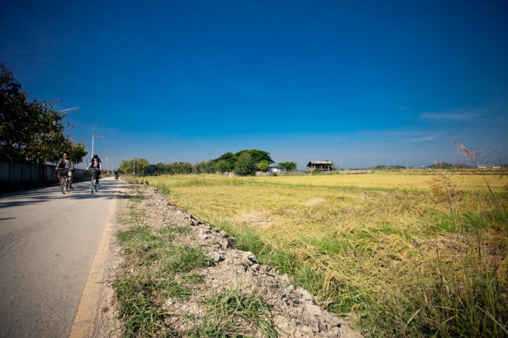 Between Forest and River – A Journey Through Lampang’s Hidden Trails Between Forest and River – A Journey Through Lampang’s Hidden Trails
