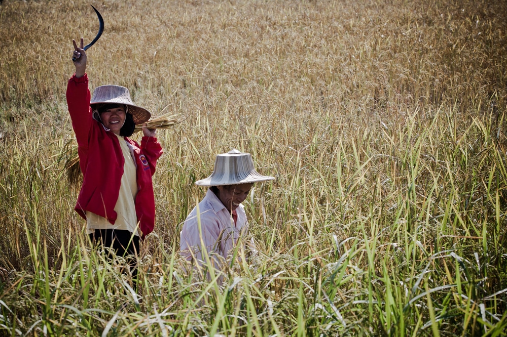 นครลำปาง เมืองที่มีจุดหมายเชิงสัญลักษณ์ของภาคเหนือและวัฒนธรรมล้านนา ทำนาลำปาง
