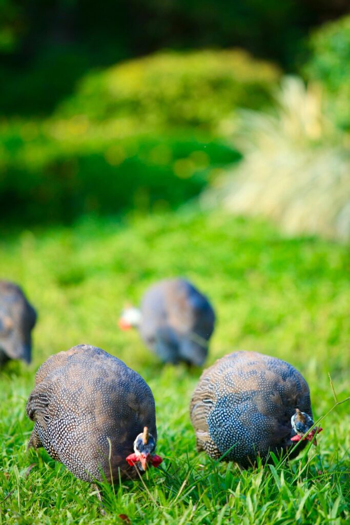 เที่ยวหน้าหนาวที่ลำปาง เมืองรองสุดชิลที่หนาวที่สุดในภาคเหนือ พักท่ามกลางธรรมชาติริมแม่น้ำที่ ลำปาง ริเวอร์ ลอจ์ด รีสอร์ท Lampang River Lodge