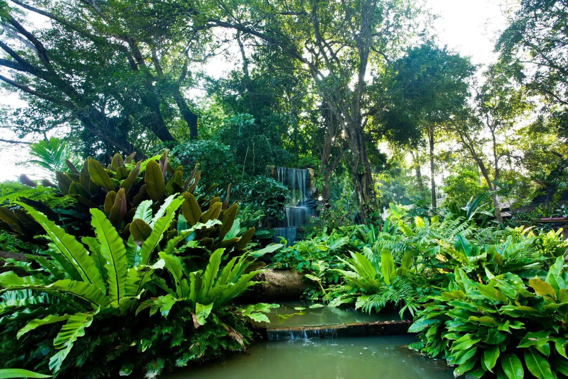 Rooms & Villas Accommodation