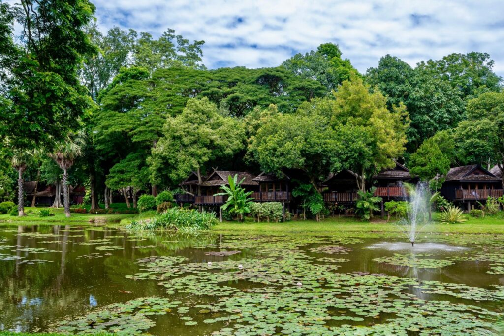 Between Forest and River – A Journey Through Lampang’s Hidden Trails Between Forest and River – A Journey Through Lampang’s Hidden Trails