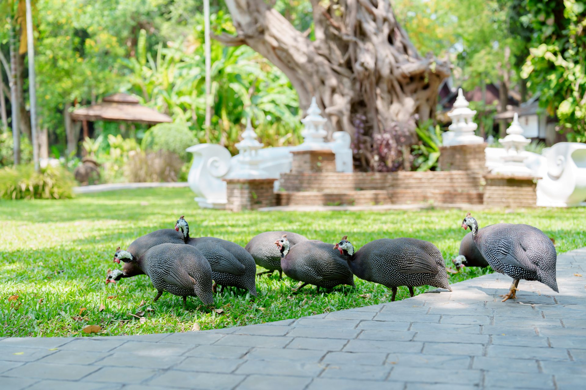 Homepage Lampang Lanna Riverside Resort