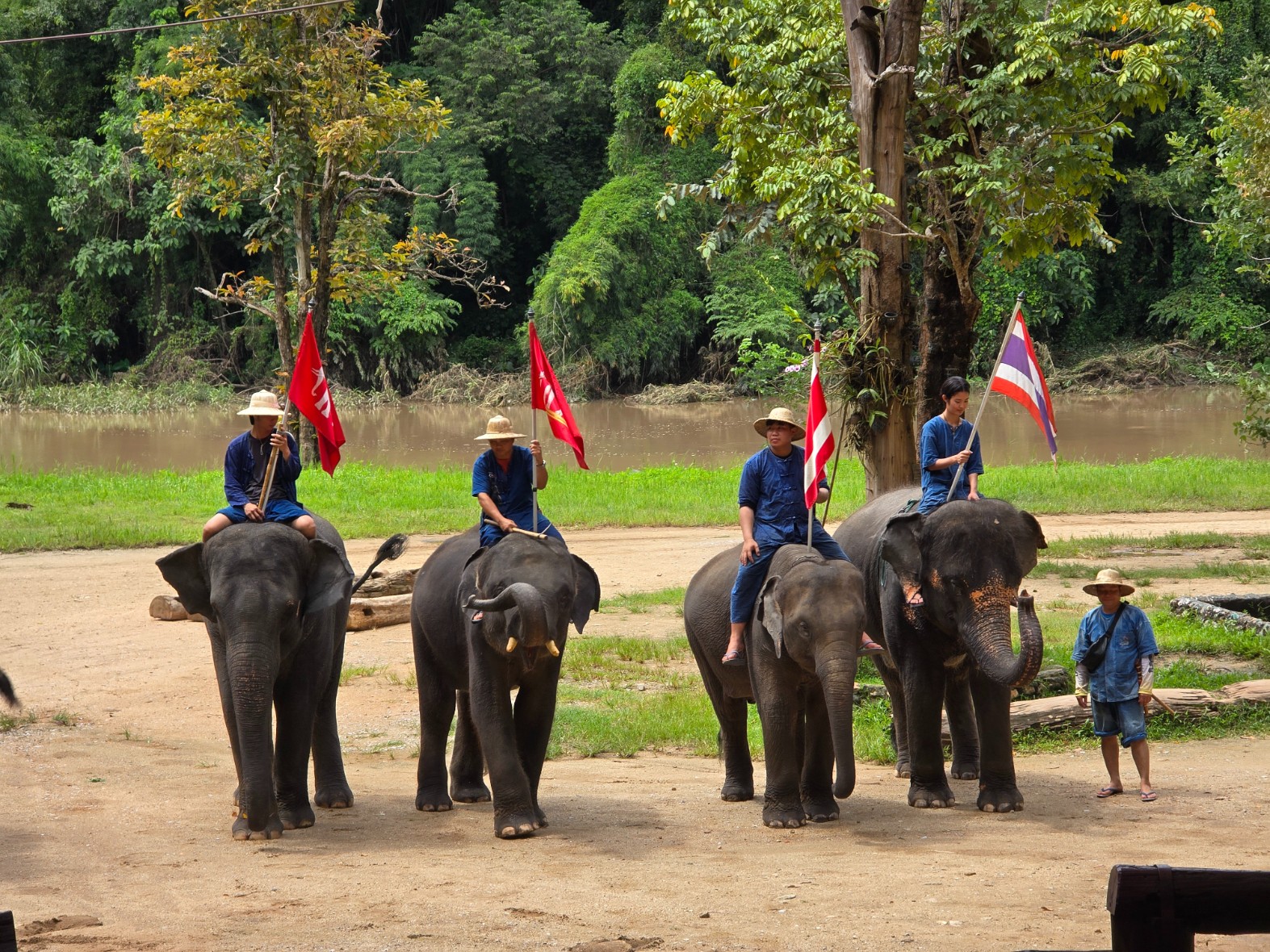 ศูนย์อนุรักษ์ช้างไทย จ.ลำปาง (Thai Elephant Conservation Center)