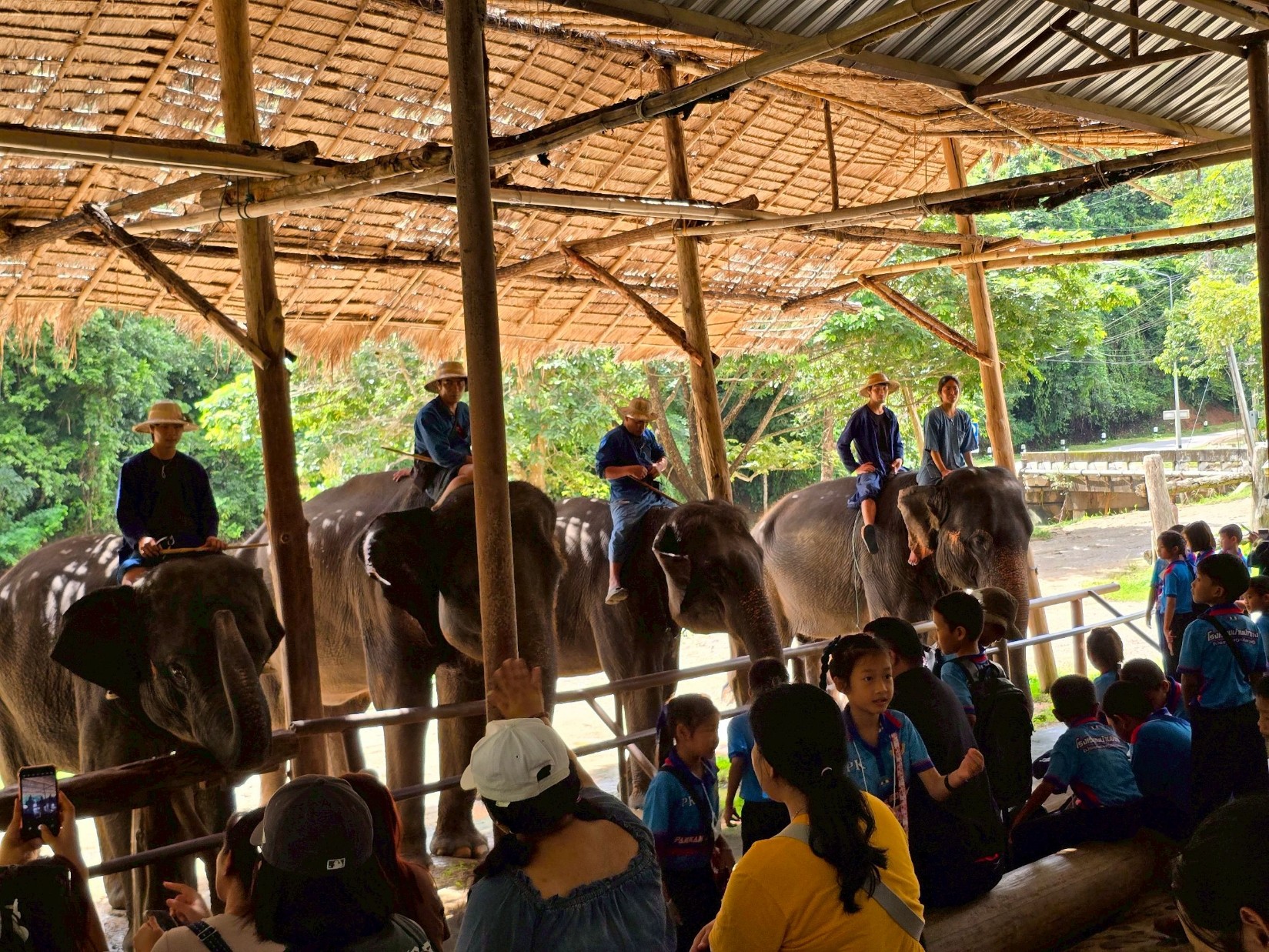 ศูนย์อนุรักษ์ช้างไทย จ.ลำปาง (Thai Elephant Conservation Center)