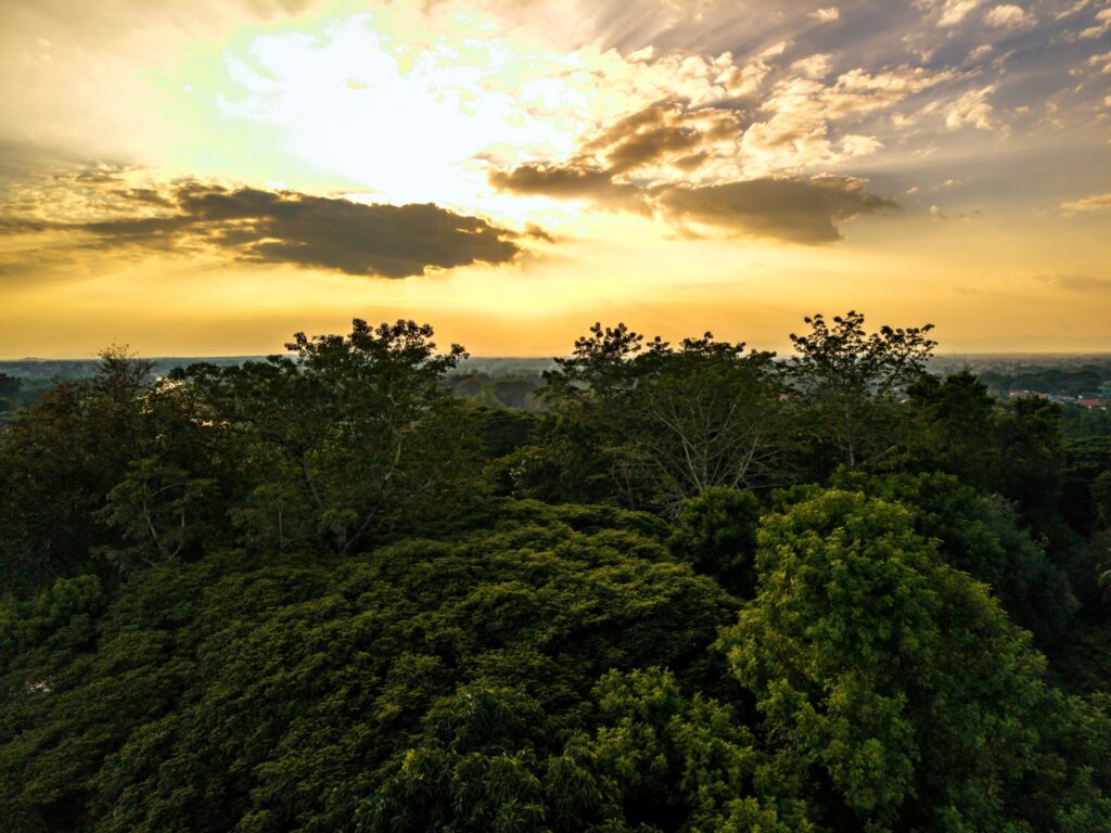 เมื่อโลกใจร้าย... ให้ธรรมชาติเยียวยา: แบกเป้เที่ยวคนเดียวที่ "ลำปาง" ทริปฮีลใจฉบับ Slow Life ณ ลำปาง ริเวอร์ ลอจ์ด เมื่อโลกใจร้าย... ให้ธรรมชาติเยียวยา: แบกเป้เที่ยวคนเดียวที่ "ลำปาง" ทริปฮีลใจฉบับ Slow Life ณ ลำปาง ริเวอร์ ลอจ์ด